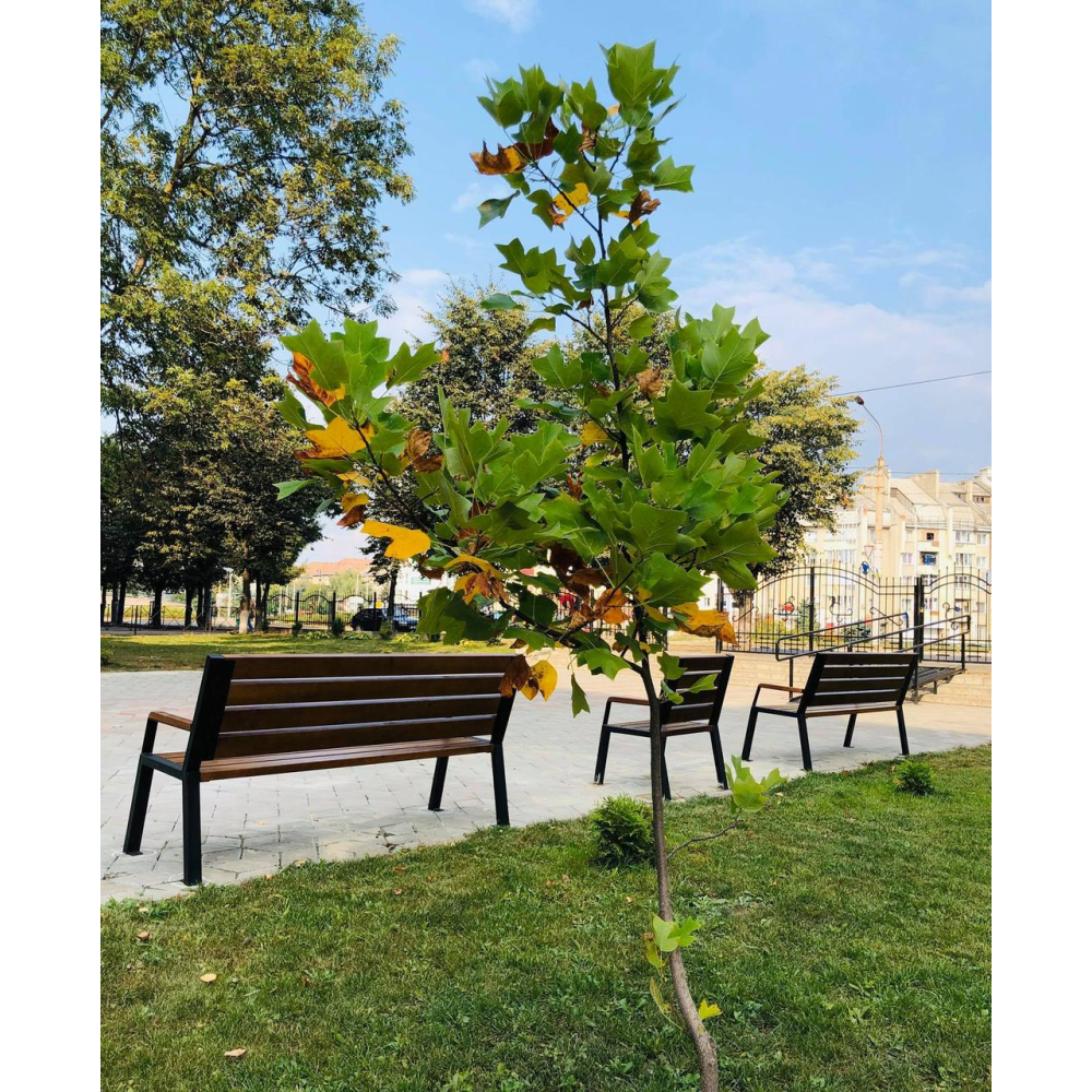 Послуги ландшафтного дизайну та благоустрою і озеленення територій